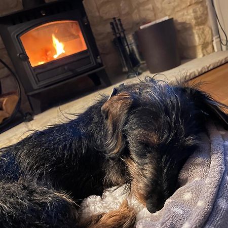 Cosy Cotswold Lodge By Your Home Here - Summer Sale For 3 Plus Nights - Ideal For Families With Log-Burner, Spa, Private Parking And Heated Swimming Pools Ashton Keynes Экстерьер фото
